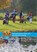 Oefenvragen voor het golfregelexamen, Nederlandse Golf Federatie - Paperback - 9789078920243