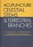 Celestial Stems & Terrestrial Branches The philosophy and physiology of acupuncture, Peter van Kervel - Gebonden - 9789079212033