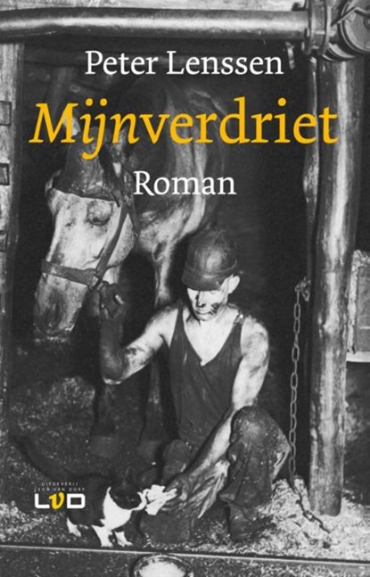 Mijnverdriet, Peter Lenssen - Paperback - 9789079226252