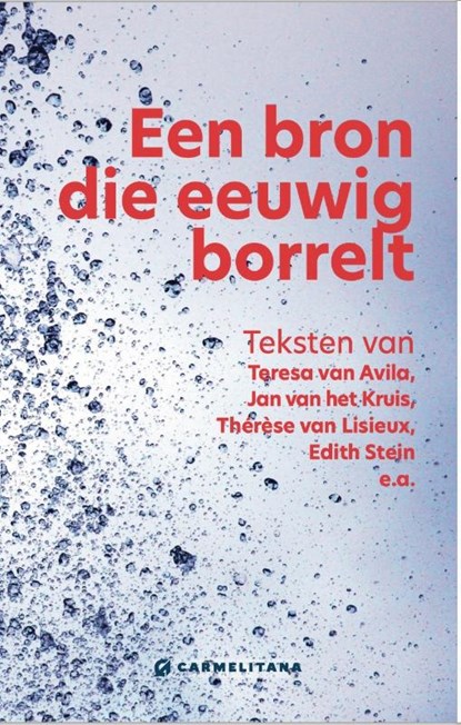 Een bron die eeuwig borrelt, Geert Schiettecatte - Paperback - 9789079292097