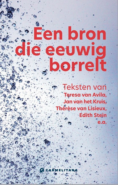 Een bron die eeuwig borrelt, niet bekend - Ebook - 9789079292103