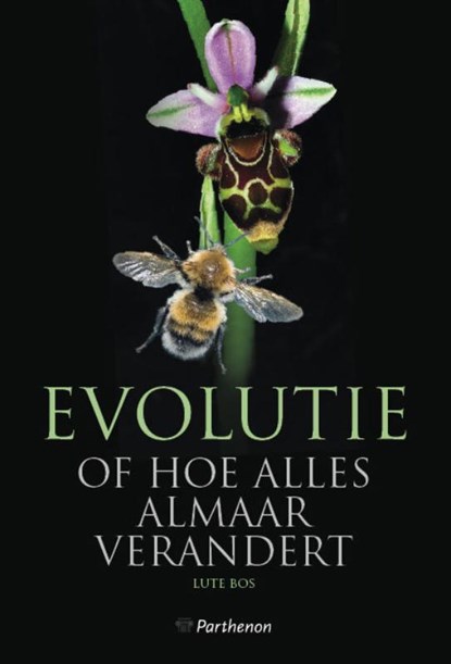 Evolutie of hoe alles almaar verandert, Lute Bos - Paperback - 9789079578191