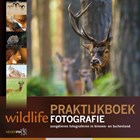 Praktijkboek wildlife fotografie | Jan Vermeer ; Bob Luijks ; Jeroen Stel ; Paul van Hoof ; Marijn Heuts | 