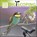 Praktijkgids Digiscoping, Marcel van der Tol - Paperback - 9789079588169