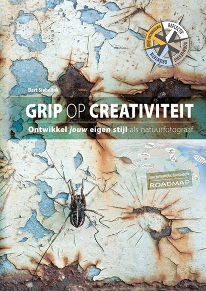 Grip op creativiteit, Bart Siebelink - Gebonden - 9789079588244
