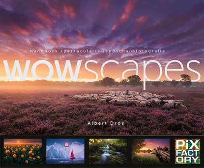 WOWscapes, Albert Dros - Gebonden - 9789079588268