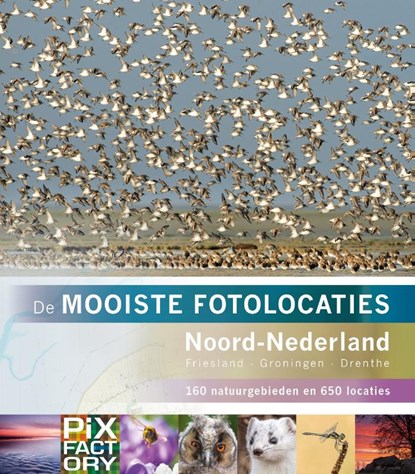 Noord-Nederland, B. Luijks ; D. Schoonhoven - Paperback - 9789079588299