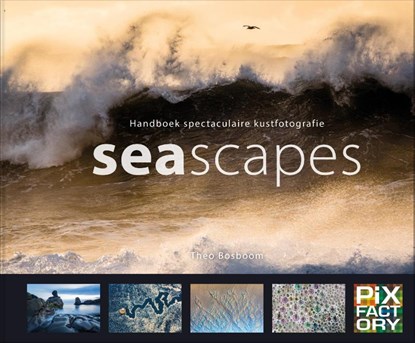 Seascapes, Theo Bosboom - Gebonden - 9789079588350