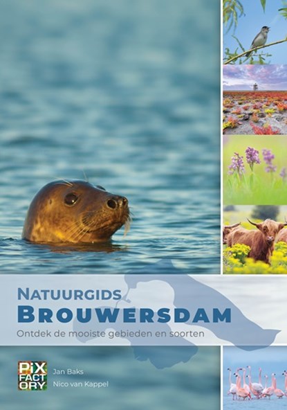 Natuurgids Brouwersdam, Jan Baks ; Nico van Kappel - Paperback - 9789079588534