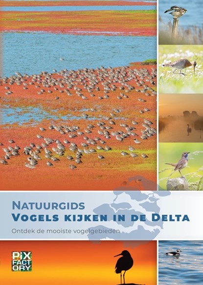 Natuurgids Vogels kijken in de Delta, Bob Luijks - Paperback - 9789079588541