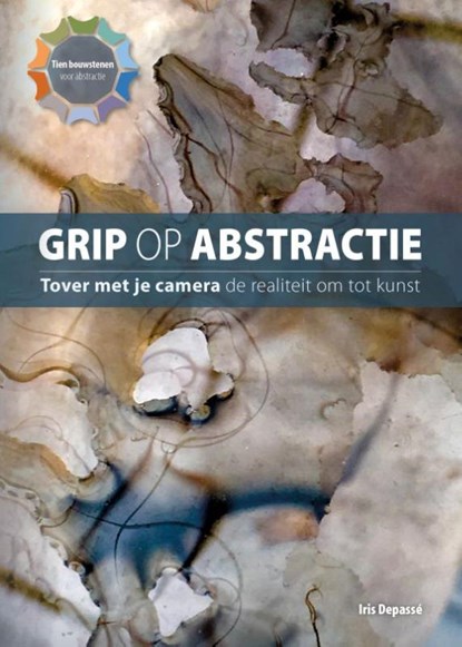 Grip op abstractie, Iris Depassé - Gebonden - 9789079588572