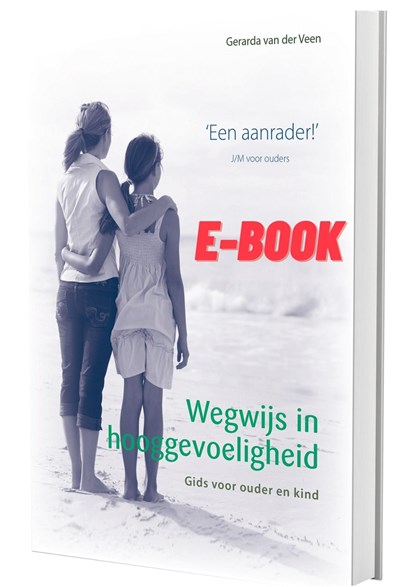Wegwijs in hooggevoeligheid, Gerarda van der Veen - Ebook EPUB - 9789079603589