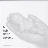 Ik heb David gevoeld - Yvette Huitema - 9789079664030