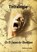 Tetralogie, Robin De Ruiter - Paperback - 9789079680894