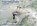 Vliegen boven Vissers, Herman IJsseling ; Flying Focus - Gebonden - 9789079716043