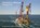 The Dutch offshore, Herman IJsseling - Gebonden - 9789079716142