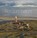 Rondom belicht, Herman IJsseling - Gebonden - 9789079716180