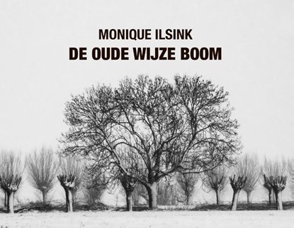 De oude wijze boom, Monique Ilsink - Gebonden - 9789079735303