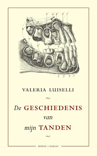 De geschiedenis van mijn tanden, Valeria Luiselli - Paperback - 9789079770212