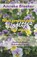 Nooit geweten dat je viooltjes kan eten, Anneke Bleeker - Paperback - 9789079872480