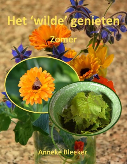 Het ´wilde´ genieten, Anneke Bleeker - Paperback - 9789080162327