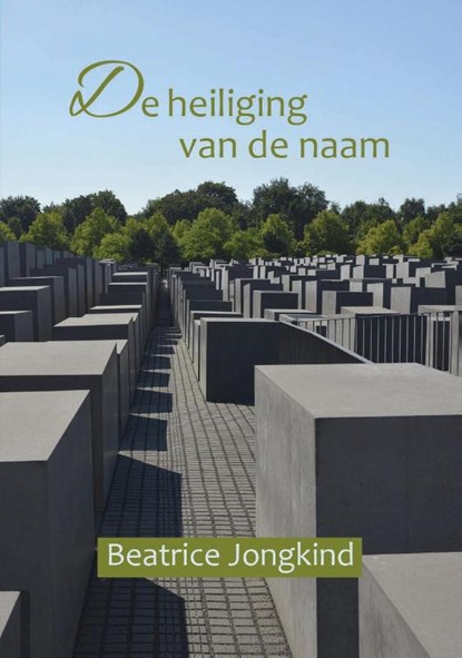 De heiliging van de Naam, Beatrice L. Jongkind - Paperback - 9789080614673