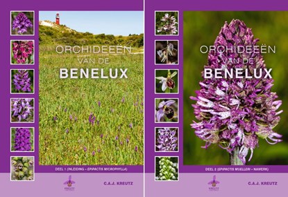 Orchideeën van de Benelux, C.A.J. Kreutz - Gebonden - 9789080662681