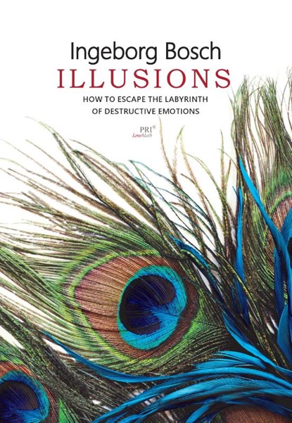 Illusions, Ingeborg Bosch - Paperback - 9789080704923