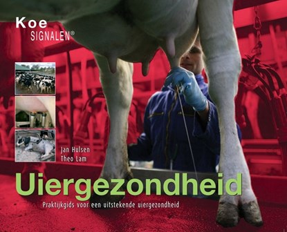 Uiergezondheid, J.H.J.L. Hulsen ; Th. Lam - Paperback - 9789081097413