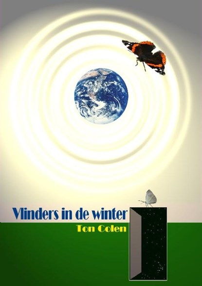 Vlinders in de winter, T. Colen - Paperback - 9789081124775