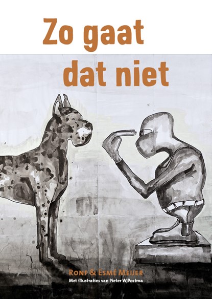 Zo gaat dat niet, Esmé Meijer ; Ron F. Meijer - Gebonden - 9789081126106