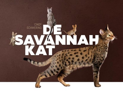 De Savannah kat, Cindy Schwering - Gebonden - 9789081133050