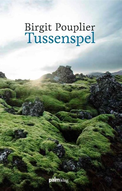 Tussenspel, Birgit Pouplier - Paperback - 9789081483889