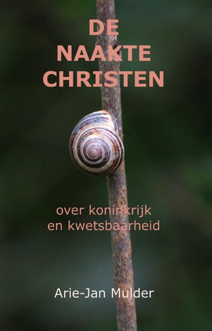 De naakte christen, Arie-Jan Mulder - Paperback - 9789081547482