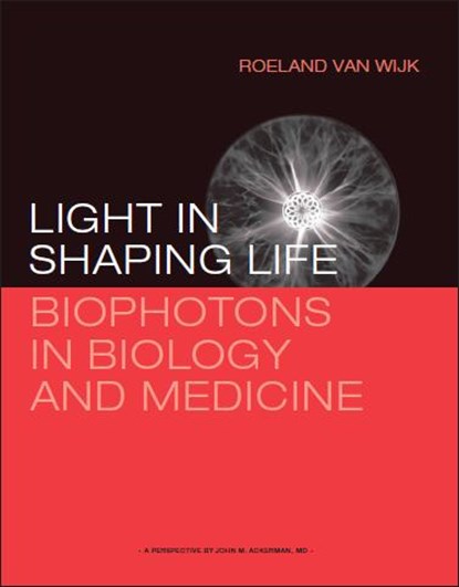 Light in shaping life, Roeland van Wijk - Paperback - 9789081884327