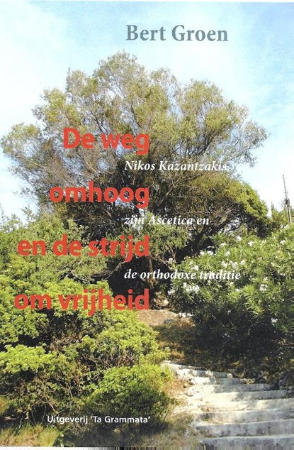 De weg omhoog en de strijd om vrijheid, Bert Groen - Paperback - 9789081937092