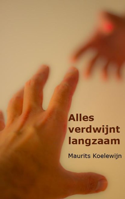 Alles verdwijnt langzaam, Maurits Koelewijn - Paperback - 9789081994606