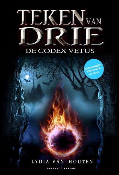 Teken van Drie en de Codex Vetus, Lydia van Houten - Paperback - 9789082020175