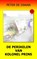 De perikelen van kolonel Prins, Peter de Zwaan - Paperback - 9789082052350