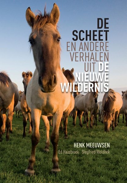 De scheet, Henk Meeuwsen - Paperback - 9789082060263