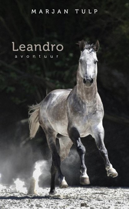 Leandro, Marjan Tulp - Paperback - 9789082109504