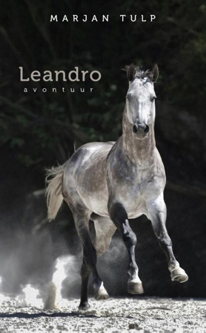 Leandro, Marjan Tulp - Ebook - 9789082109511