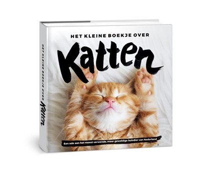Het kleine boekje over katten, niet bekend - Gebonden - 9789082133684