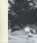 Nevelland, Robbert Bodegraven - Gebonden - 9789082143454