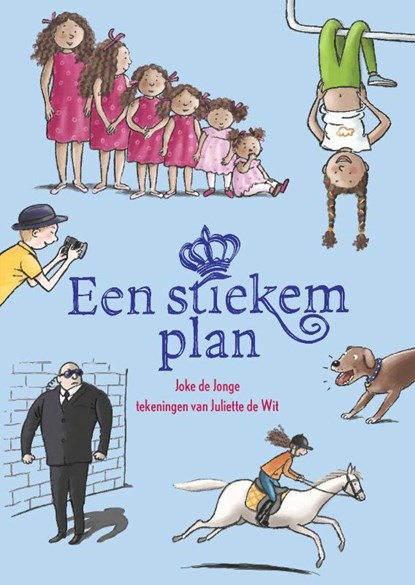 Een stiekem plan, Joke de Jonge - Gebonden - 9789082196320