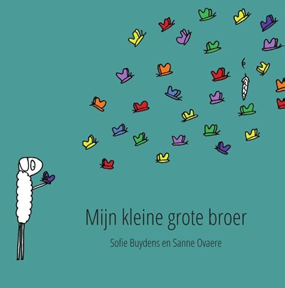 Mijn kleine grote broer, Sanne Ovaere - Gebonden - 9789082327946