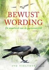 Bewustwording - ivo vielvoye - 9789082528008