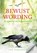 Bewustwording, ivo vielvoye - Paperback - 9789082528008