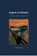 Experts in Disaster, Liesbeth J. Vink - Paperback - 9789082549928