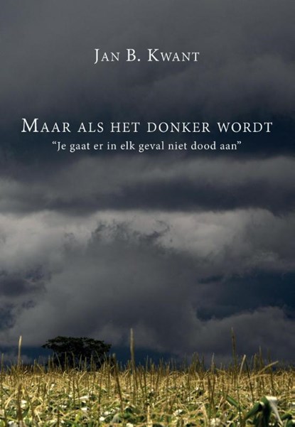 Maar als het donker wordt, Jan B. Kwant - Paperback - 9789082591804